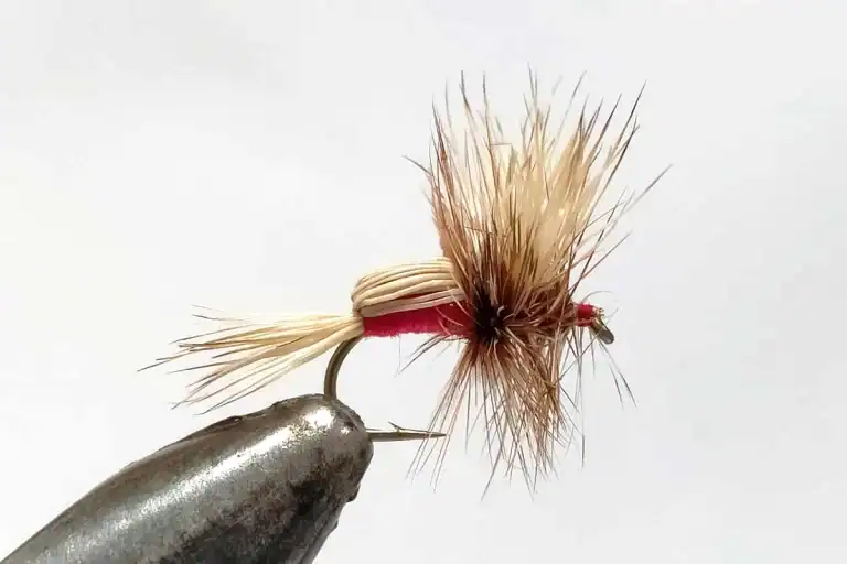 fishing dry fly
