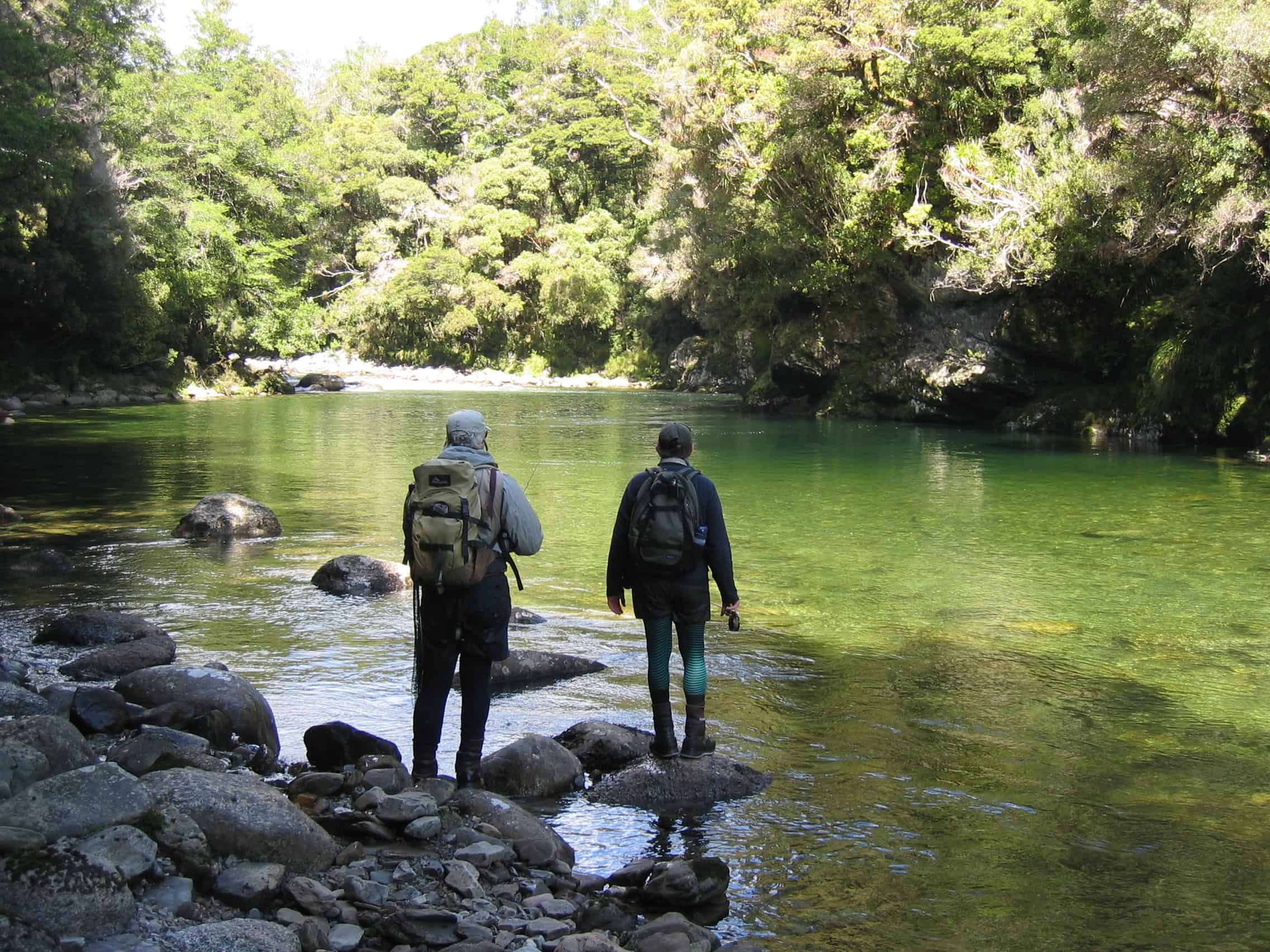 NZScenicFishing w_ Guide