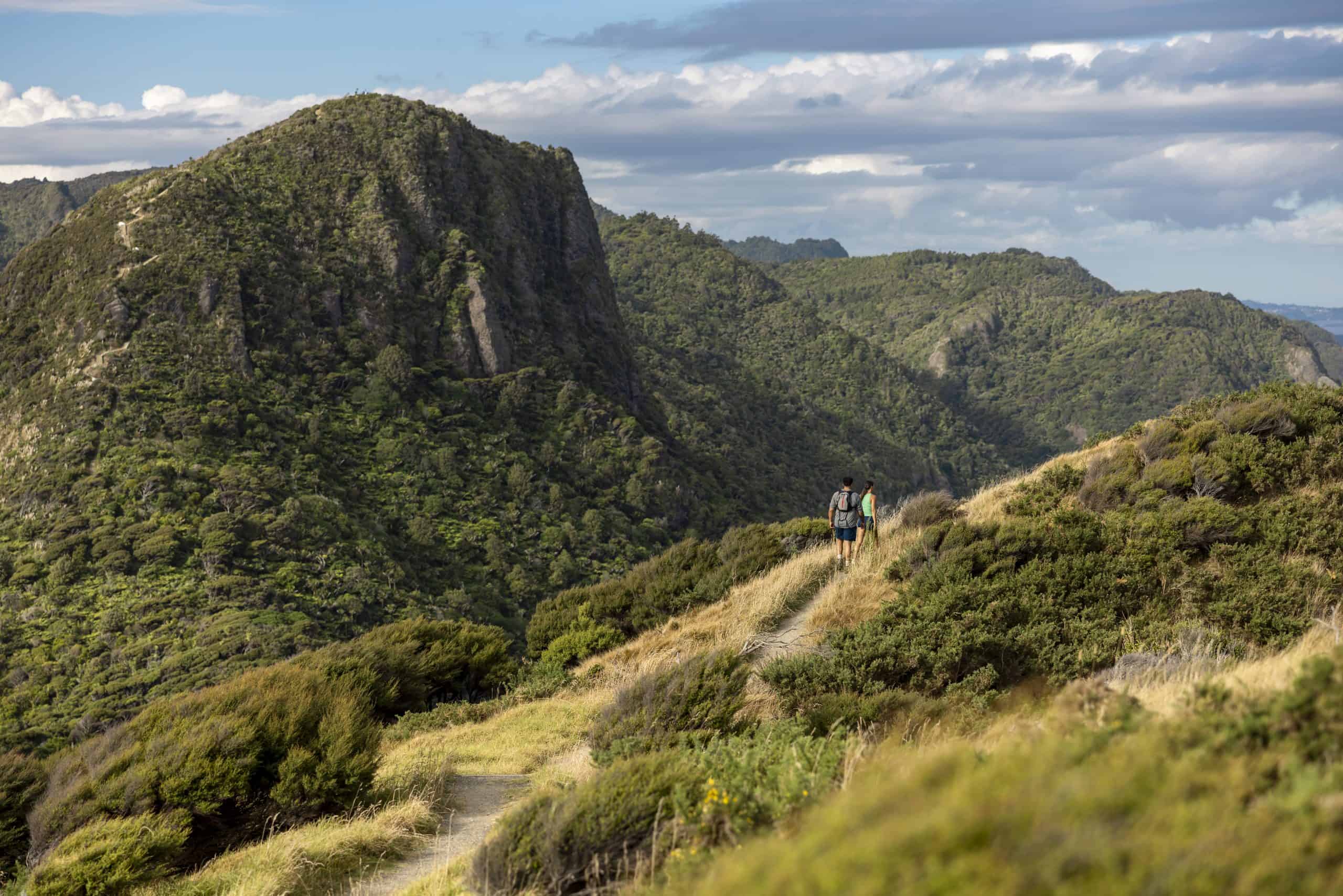 hike550839-waitakere-ranges-auckland