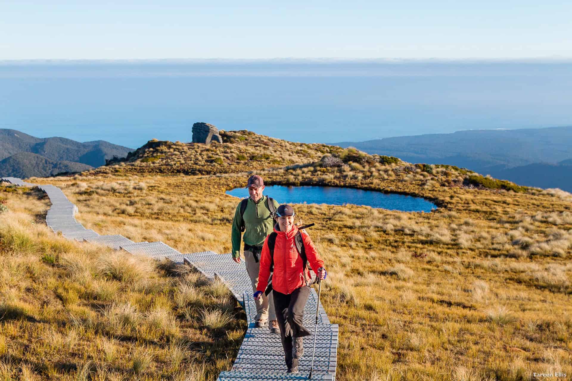 hiking view humpridge track fiordland